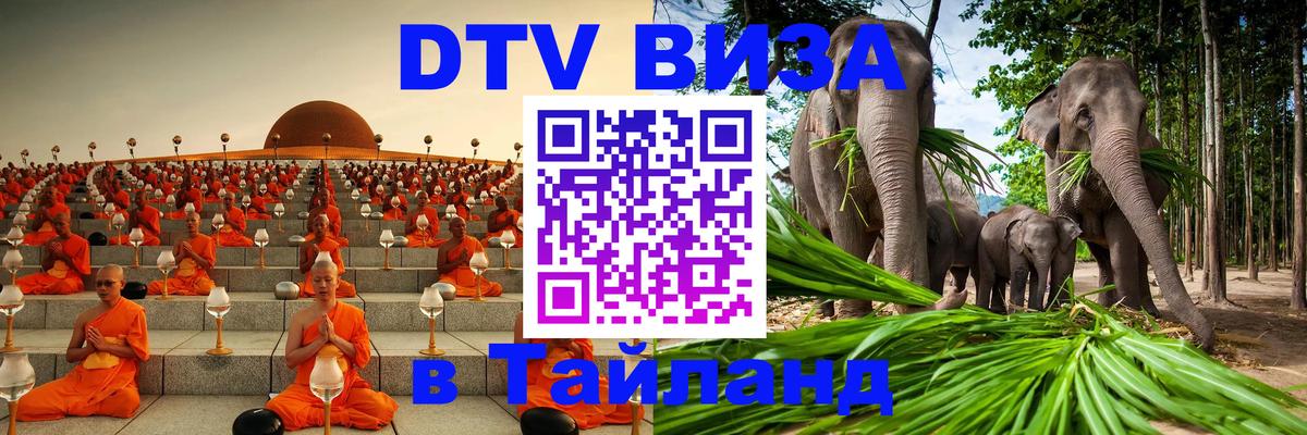 Оформление DTV визы под ключ: стоимость и тарифы, только загранпаспорт - Великий Новгород 